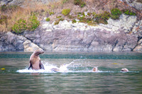 Sailing_wildlife_AugSep2025-8