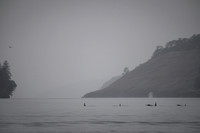 Orcas_etc_10-2025-16