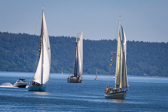 PS_Schooner_Race-6