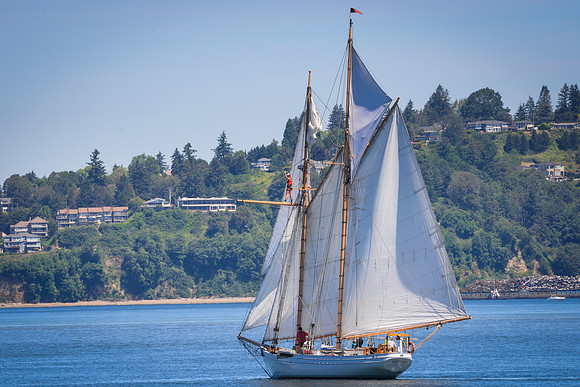 PS_Schooner_Race-5
