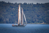 PS_Schooner_Race-8