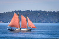 PS_Schooner_Race-9