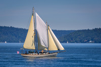 PS_Schooner_Race-10