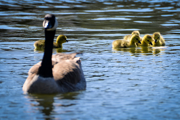 Marina_babies_5-2020-1