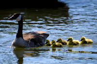 Marina_babies_5-2020-2