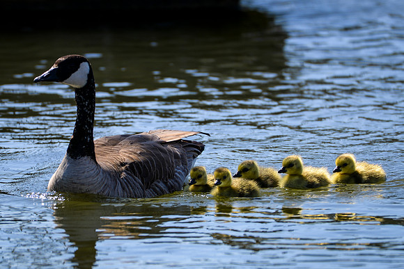 Marina_babies_5-2020-2