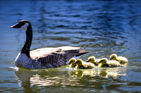 Marina_babies_5-2020-4