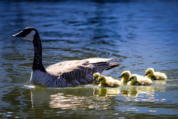 Marina_babies_5-2020-3