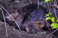 Marina_babies_5-2020-5