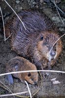 Marina_babies_5-2020-6