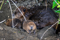 Marina_babies_5-2020-8