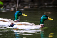 Marina_babies_5-2020-10