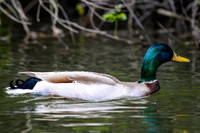 Marina_babies_5-2020-11
