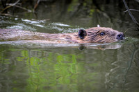 Marina_babies_5-2020-12