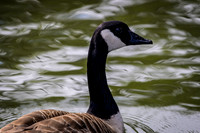 Marina_babies_5-2020-14