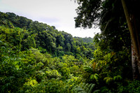 Martinique_2021-18