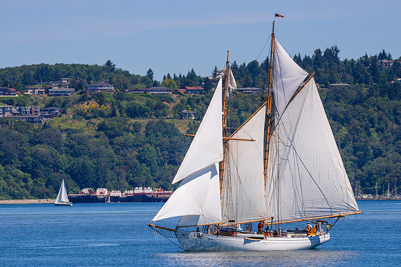 PS_Schooner_Race-4