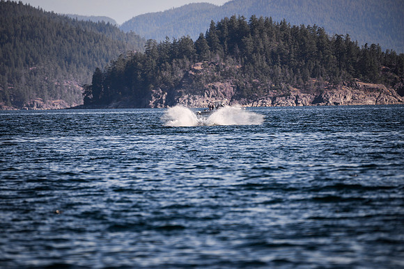 Sailing_wildlife_July2025-15