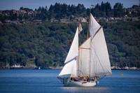 PS_Schooner_Race-3