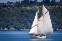 PS_Schooner_Race-2
