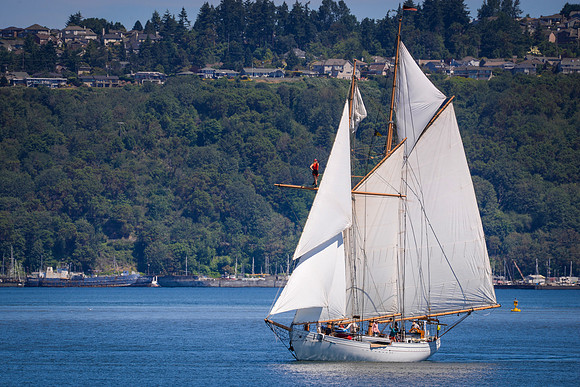 PS_Schooner_Race-2